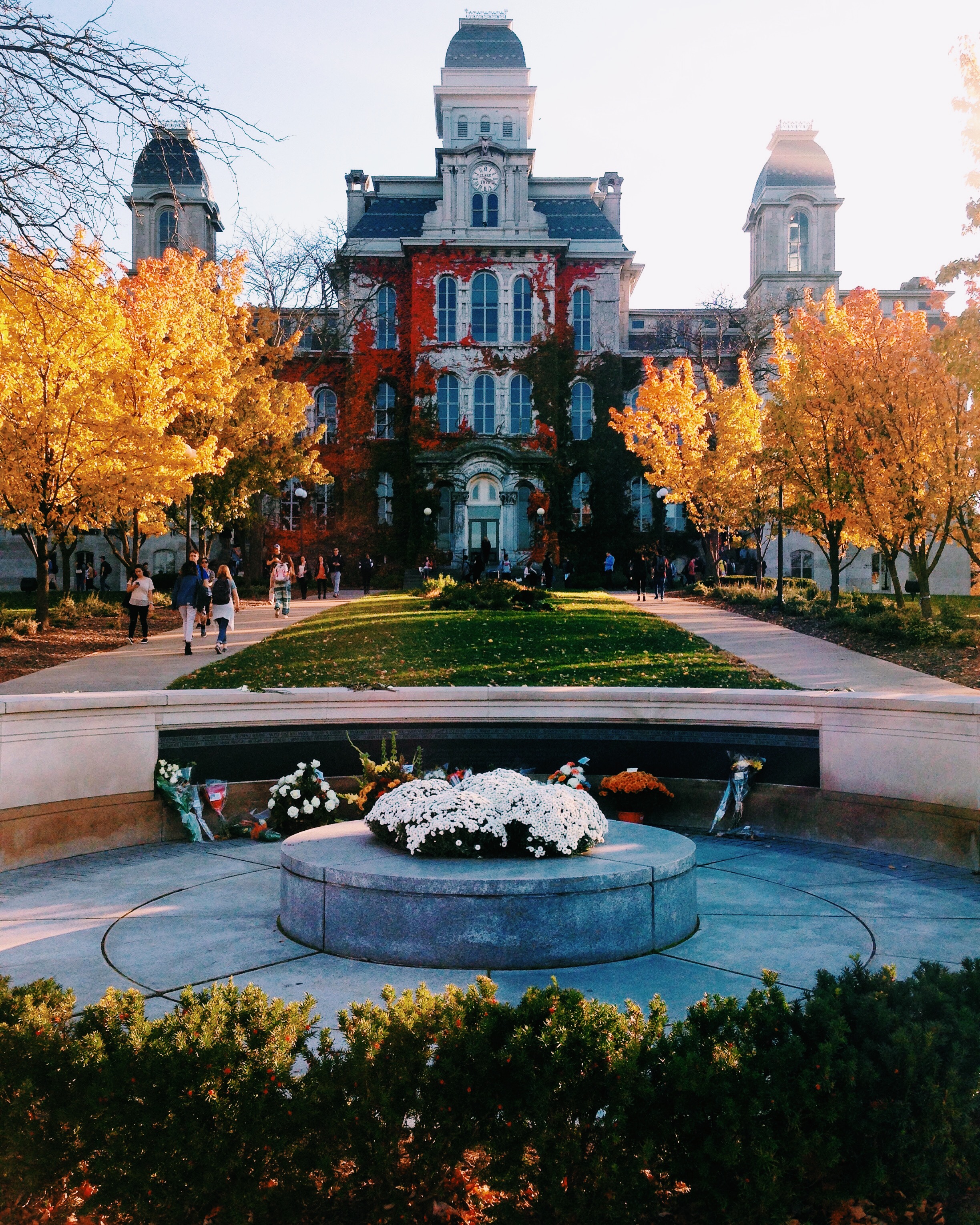 Pearland public space